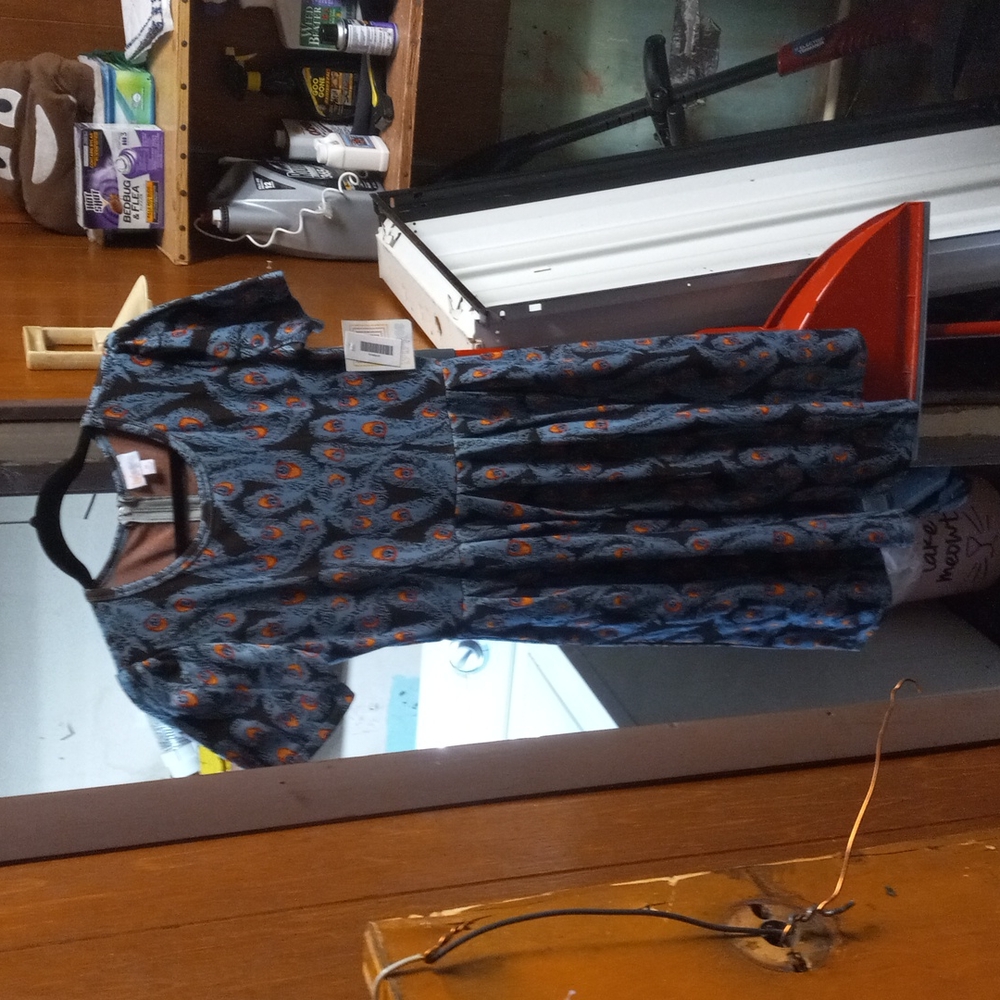 LulaRoe Medium Amelia Dress